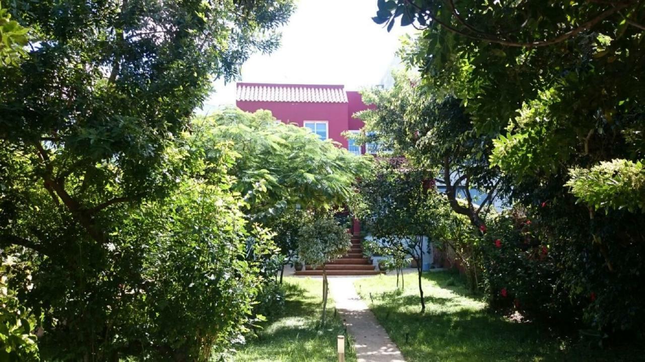 Villa Tonelero piscina privada climatizada y jardín Gáldar Exterior foto